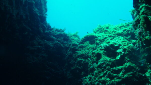 Grotte Vallone