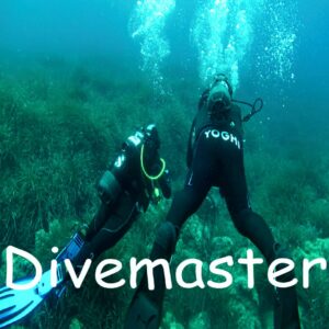 Divemaster