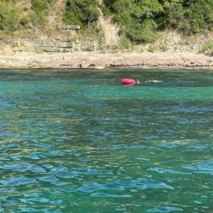 Baia del Sauco (vallone)