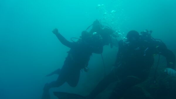 CORSO Accompagnatore Disabili - immagine 2