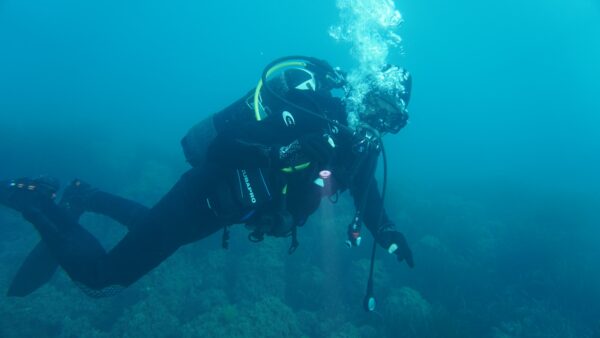 BATTESIMO DEL MARE - immagine 2