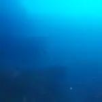 DSC02267