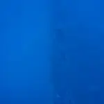 DSC02275