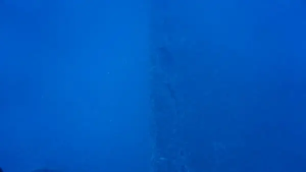 Relitto Alfieri Castellabate - immagine 2
