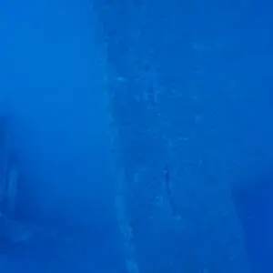 relitto alfieri