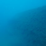 DSC02215